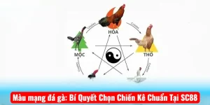 Màu mạng đá gà: Bí Quyết Chọn Chiến Kê Chuẩn Tại SC88